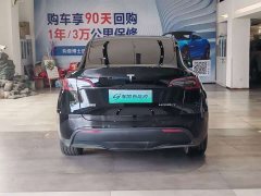 Tesla Model Y rear-wheel drive version - фото 8