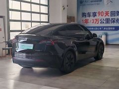 Tesla Model Y rear-wheel drive version - фото 9