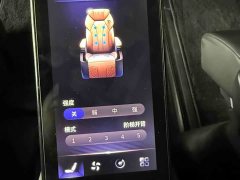 Hongqi HQ9 2.0T Zhilian Qichang Edition - фото 18