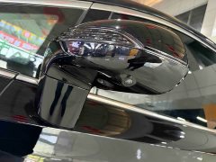Hongqi HQ9 2.0T Zhilian Qichang Edition - фото 5