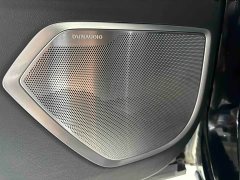Hongqi HQ9 2.0T Zhilian Qichang Edition - фото 7