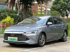 BYD Qin PLUS DM-i 55KM flagship - фото 1