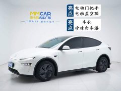 Tesla Model Y rear-wheel drive version - фото 1