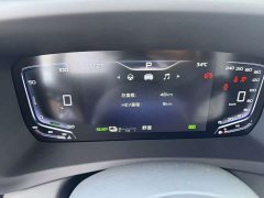 Hongqi HQ9 PHEV 2024 2.0T four-wheel drive business version - фото 5