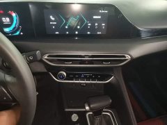 Ford EADO PLUS Blue Whale NE 1.4T GDI DCT Premium Type - фото 13