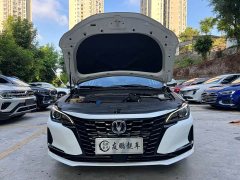 Ruicheng CC Blue Whale Edition 1.5T DCT Luxury - фото 4
