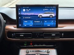 Lincoln Pilot 3.0T V6 four-wheel drive premium version - фото 14