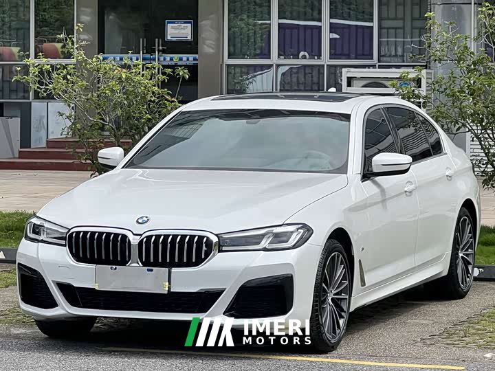 BMW 5 Series 530Li Leading M Sports Package - автомобиль из Китая