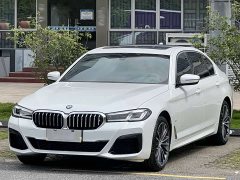 BMW 5 Series 530Li Leading M Sports Package - фото 1