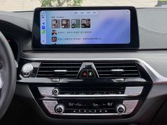 BMW 5 Series 530Li Leading M Sports Package - фото 17