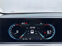 Ford EADO 2024 PLUS Blue Whale NE 1.4T GDI DCT High Energy Edition - фото 9