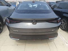 Changan Yida Blue Whale NE 1.5T GDI DCT Premium Type - фото 13