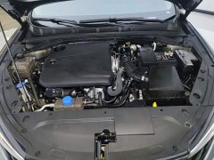 Ford Eado PLUS 1.4T dual-clutch high-energy version - фото 10