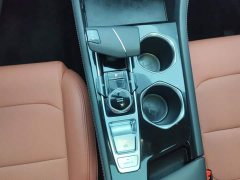 Ford Eado PLUS 1.4T dual-clutch high-energy version - фото 16