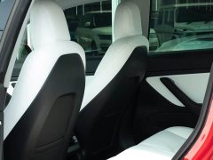 Tesla Model 3 Standard Range Rear Drive Upgraded Version - фото 7