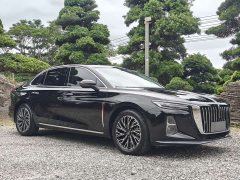 Hongqi H5 2025 2.0T automatic Qichang version - фото 2