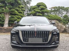 Hongqi H5 2025 2.0T automatic Qichang version - фото 3