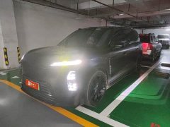 NIO ES9 102kWh Executive Nakajima Signature Edition - фото 1