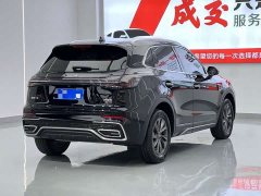 Hongqi HS5 2025 2.0T two-wheel drive Qixiang Pro version - фото 11
