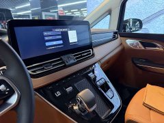 Hongqi HQ9 PHEV 2024 2.0T four-wheel drive business version - фото 7