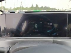 Ford EADO 2021 PLUS Blue Whale NE 1.4T GDI DCT Premium Type - фото 12