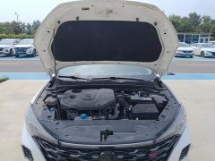 Ford EADO 2021 PLUS Blue Whale NE 1.4T GDI DCT Premium Type - фото 20