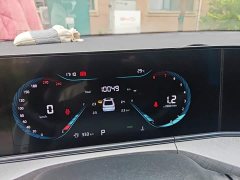 Ford Eado Enjoy Edition PLUS Blue Whale NE 1.4T GDI DCT Premium Edition - фото 5