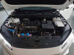 Ford Eado PHEV 2025 Smart New Blue Whale 145KM High Energy Edition - фото 20