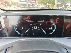Ford EADO 2022 PLUS Blue Whale NE 1.4T GDI DCT Premium Edition - фото 4