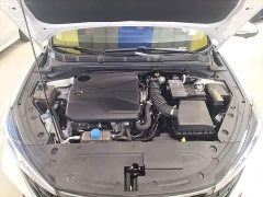 Ford EADO 2024 PLUS Blue Whale NE 1.4T GDI DCT High Energy Edition - фото 20