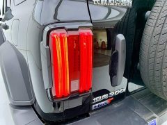 Tank 300 New Energy Hi4-T 37.1kWh - фото 9