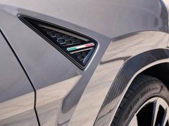 Porsche Urus 2023 4.0T V8 S - фото 11