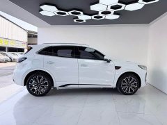 Ora Hongqi HS5 2023 2.0T four-wheel drive Qixiang Pro 500,000 units commemorative edition - фото 12