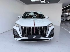 Ora Hongqi HS5 2023 2.0T four-wheel drive Qixiang Pro 500,000 units commemorative edition - фото 2