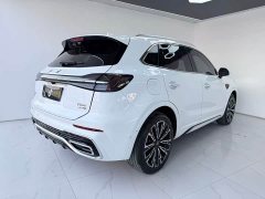 Ora Hongqi HS5 2023 2.0T four-wheel drive Qixiang Pro 500,000 units commemorative edition - фото 7