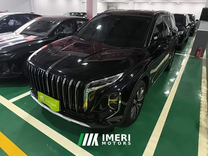 Hongqi HS7 PHEV 2.0T PHEV four-wheel drive 2 million units commemorative edition 6 seats - автомобиль из Китая