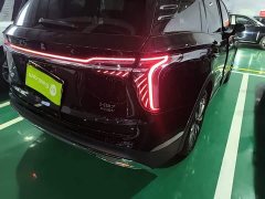 Hongqi HS7 PHEV 2.0T PHEV four-wheel drive 2 million units commemorative edition 6 seats - фото 8