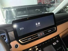 Hongqi HQ9 PHEV 2.0T four-wheel drive business version - фото 13