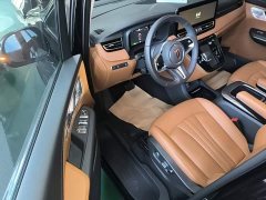 Hongqi HQ9 PHEV 2.0T four-wheel drive business version - фото 16