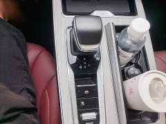 Hongqi HS5 2.0T four-wheel drive Qixiang Pro version - фото 14