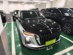 Hongqi H5 PHEV 170 super hybrid version - фото 4