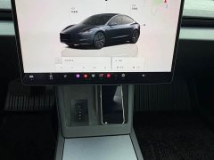 Tesla Model 3 rear-wheel drive version - фото 15