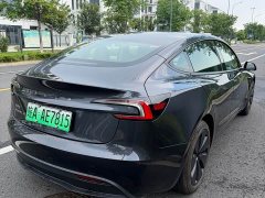 Tesla Model 3 rear-wheel drive version - фото 6