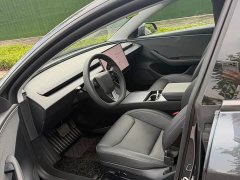 Tesla Model 3 rear-wheel drive version - фото 9