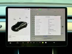 Tesla Model 3 2020 facelift standard range rear-wheel drive upgraded version - фото 16