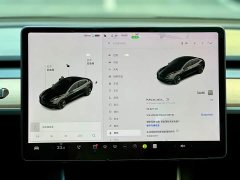Tesla Model 3 2020 facelift standard range rear-wheel drive upgraded version - фото 17