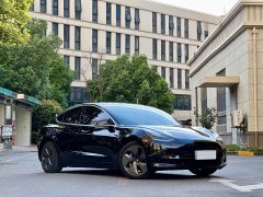 Tesla Model 3 2020 facelift standard range rear-wheel drive upgraded version - фото 3
