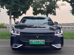 Voyah Lantu Chasing Light PHEV four-wheel drive super long range executive version - фото 1