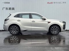 Hongqi HS5 2.0T four-wheel drive flag collar Pro version - фото 6
