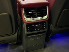 Hongqi E-HS9 660km Qichang version six seats - фото 14